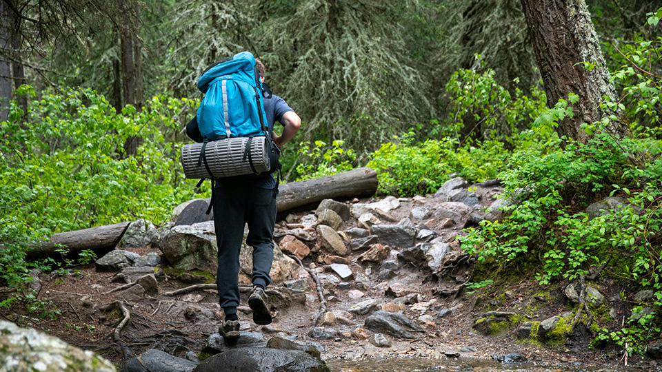 What can social media images tell us about our impact on nature reserves?