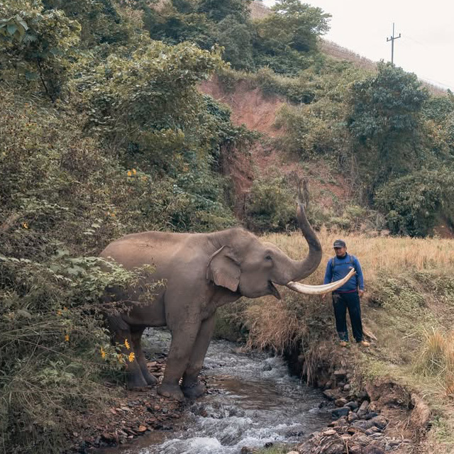 NUS College Impact Experience team’s photobook