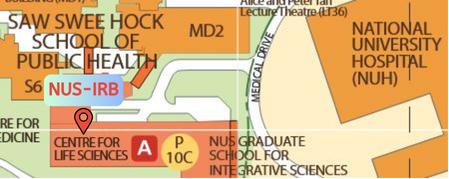 NUS-IRB Map